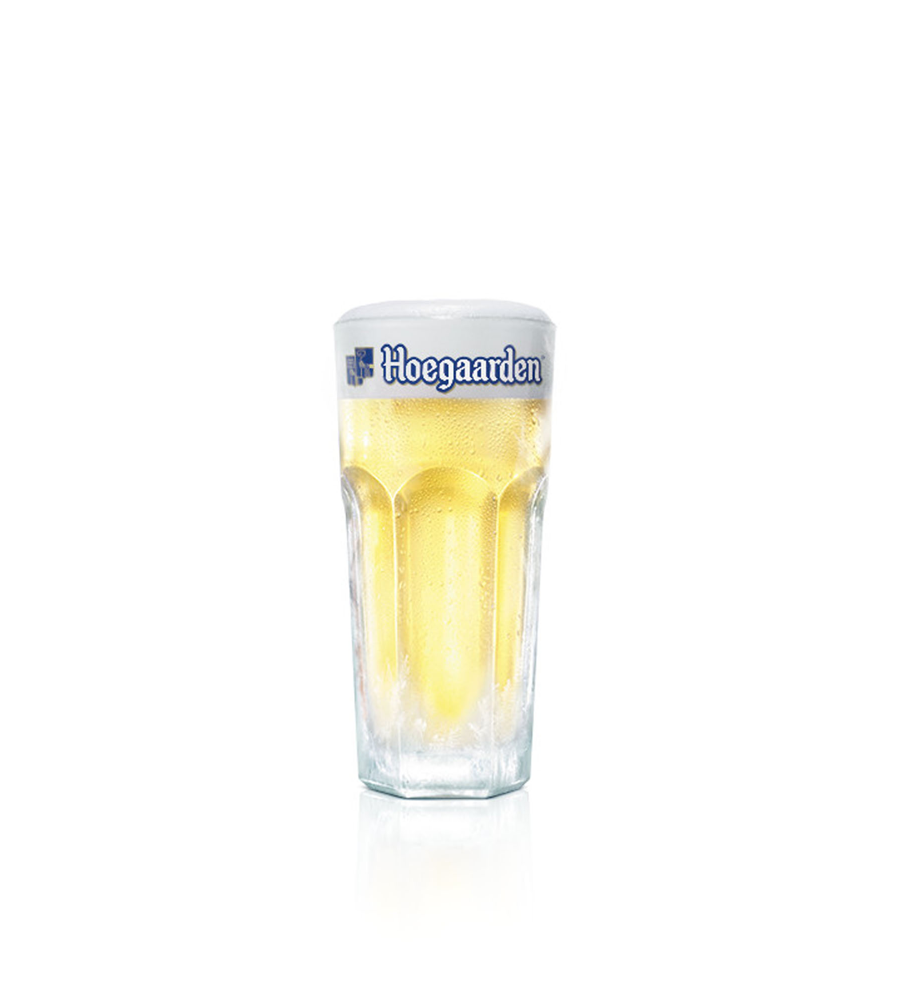 Hoegaarden Wit Fust 20 ltr 4,8%