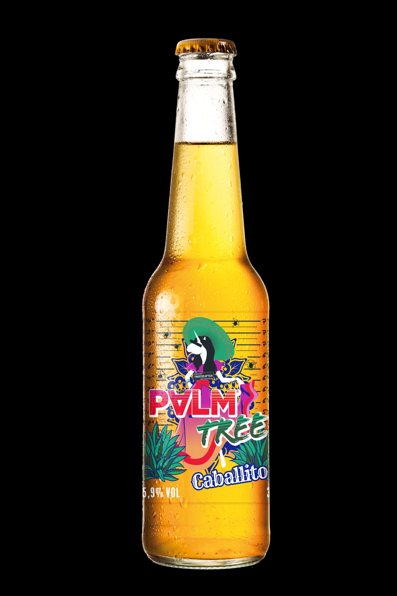 Palm Caballito Doos 24x33 cl 5,9%