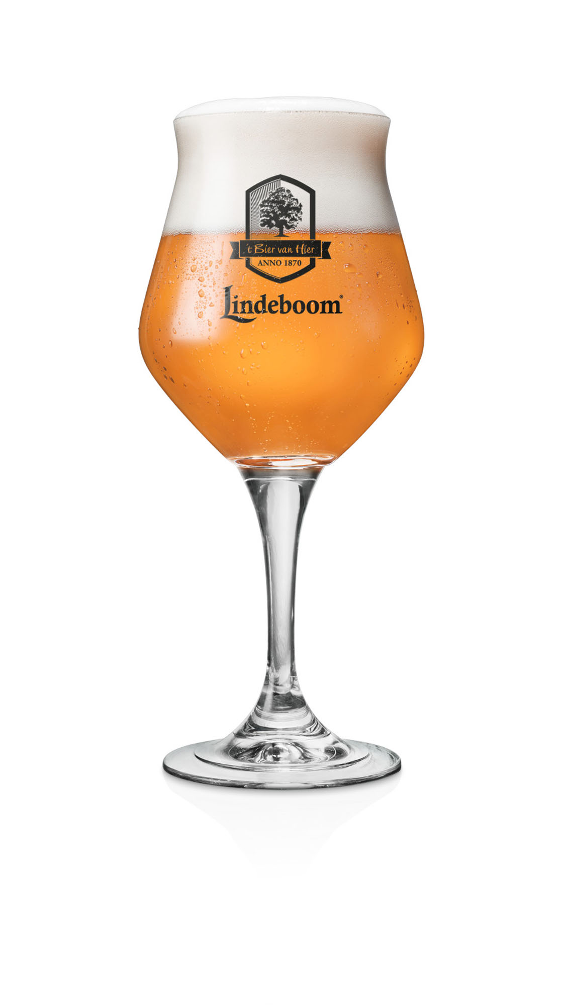 Lindeboom Saison Fust 20 ltr 5,8%