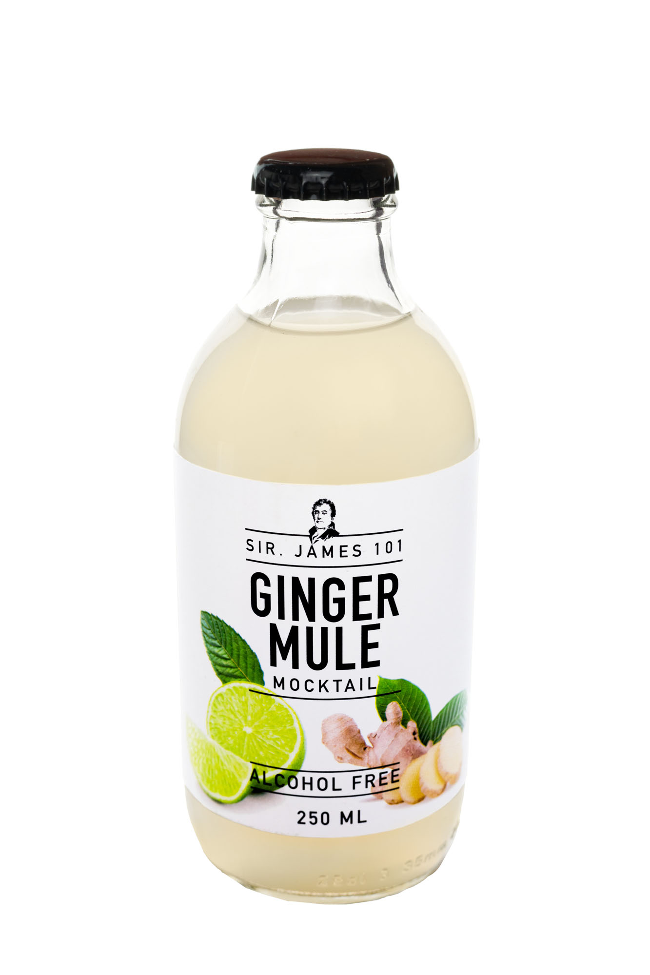 Sir James 101 Ginger Mule Doos 12x25 cl