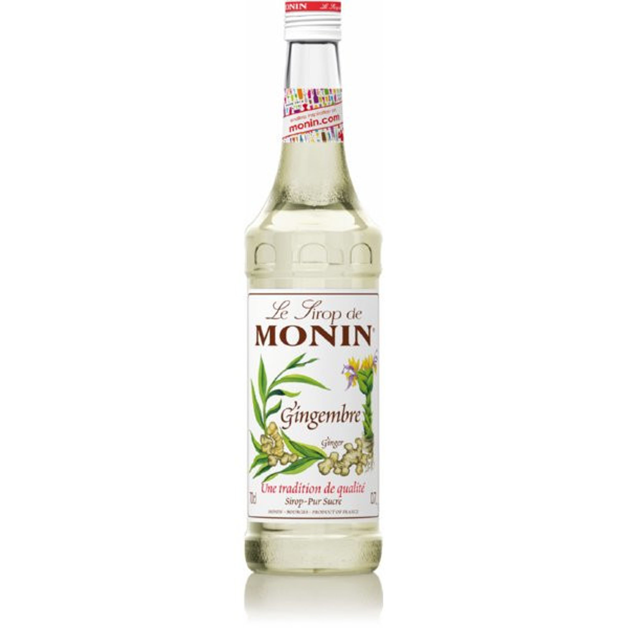 Monin Gingembre Siroop Fles 70 cl