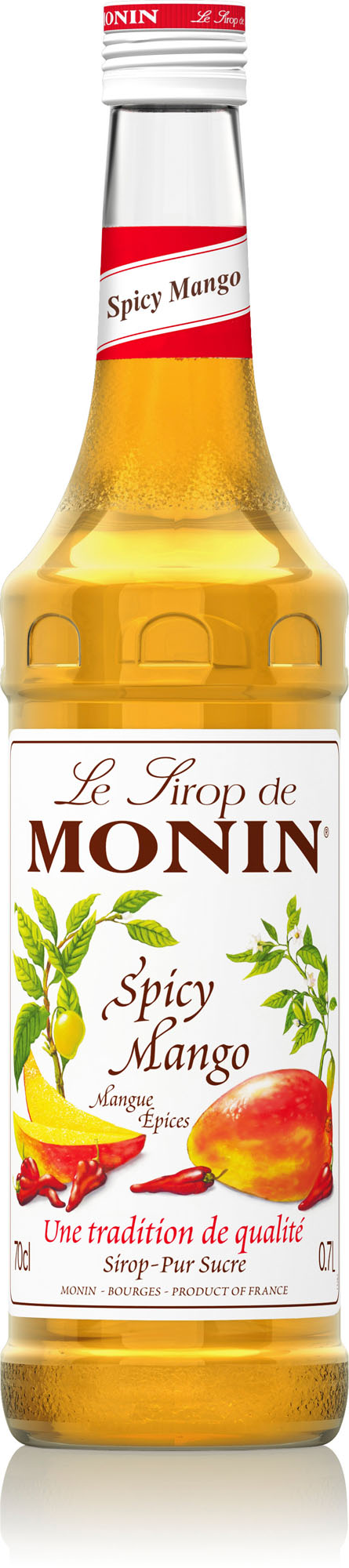 Monin Spicy Fles 70 cl