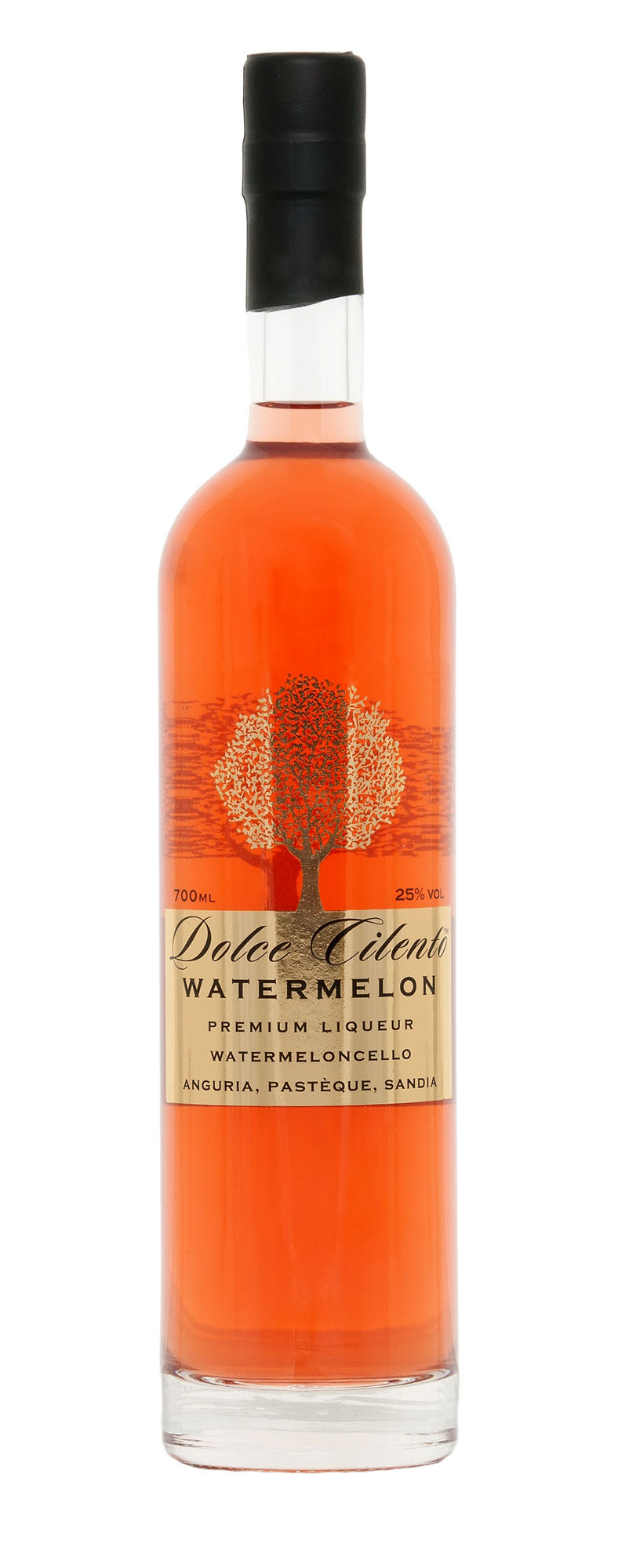 Dolce Cilento Watermelon Fles 70 cl 25%