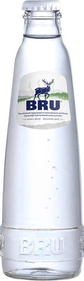 Bru licht bruisend Krat 24x25 cl