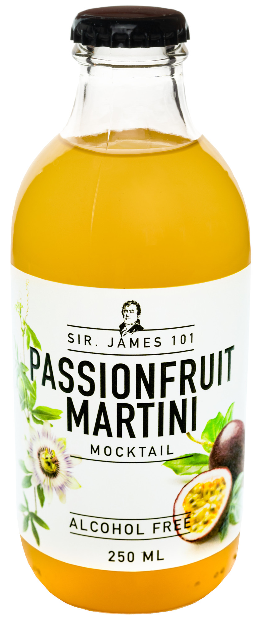 Sir James 101 Passionfruit Martini Doos 12x25 cl