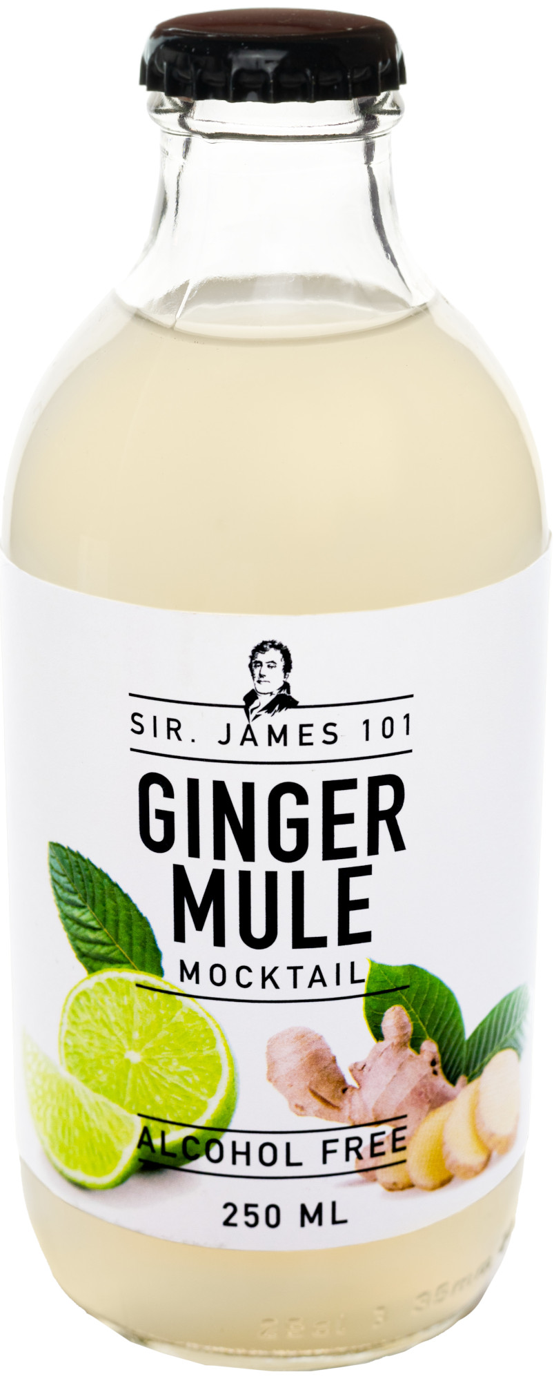 Sir James 101 Ginger Mule Doos 12x25 cl