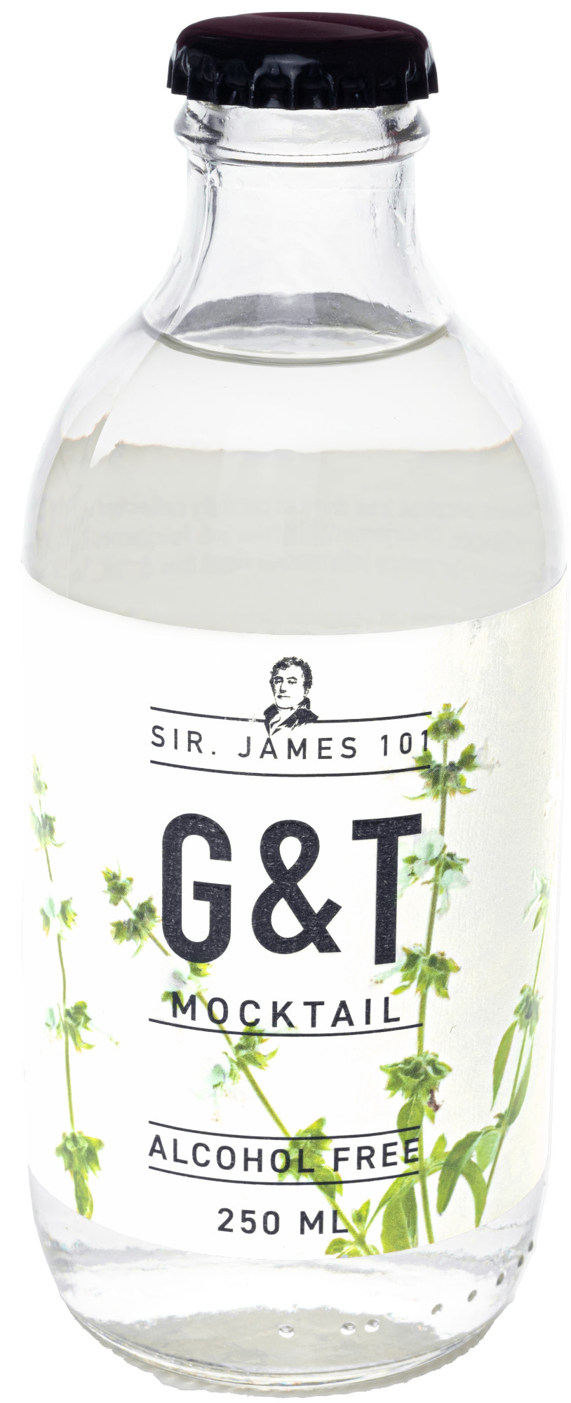 Sir James 101 Gin Tonic Doos 12x25 cl