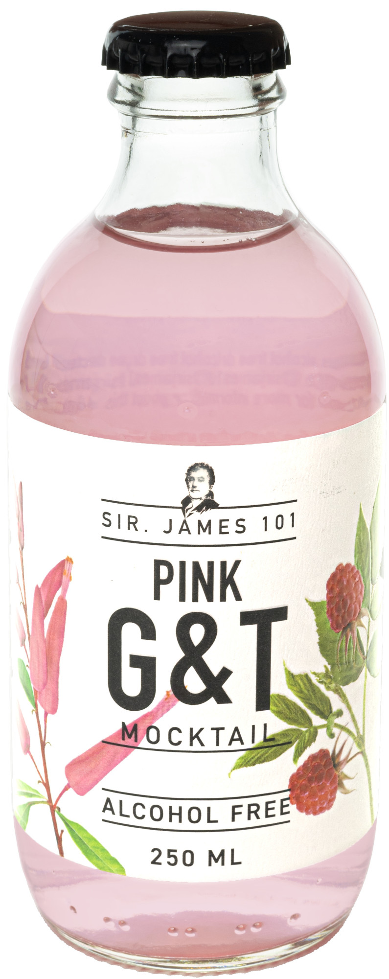 Sir James 101 Pink Gin Tonic Doos 12x25 cl