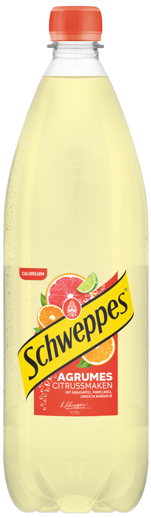 Schweppes Agrumes pet Tray 6x100 cl