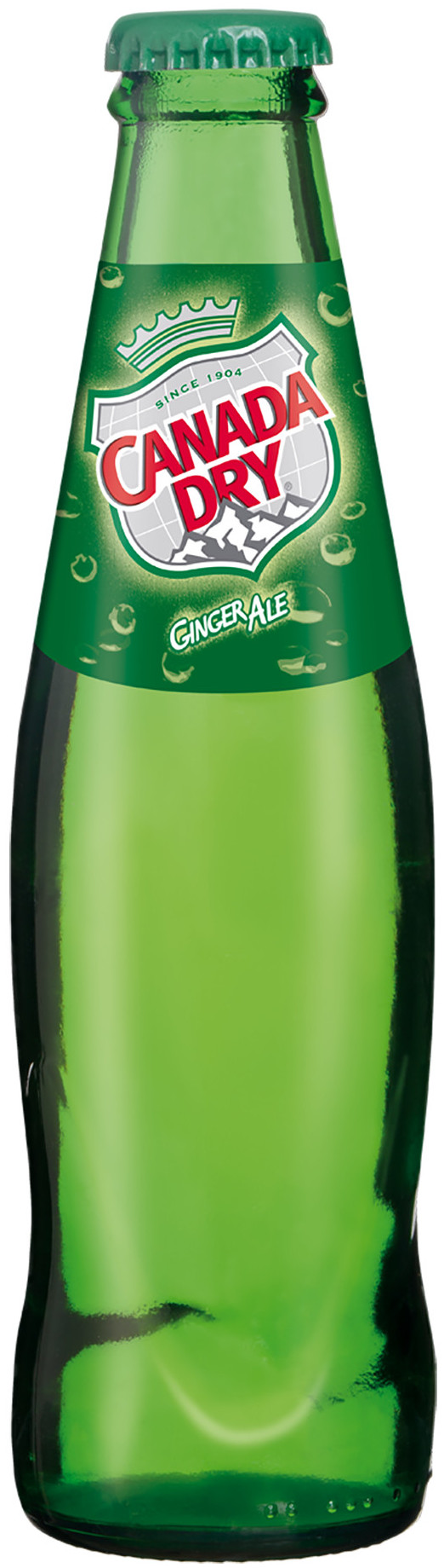 Canada Dry Ginger Ale Krat 24x20 cl